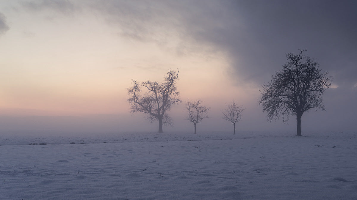 Landscape photograph of frozen field